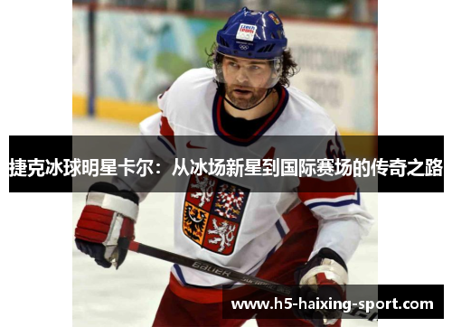 捷克冰球明星卡尔：从冰场新星到国际赛场的传奇之路