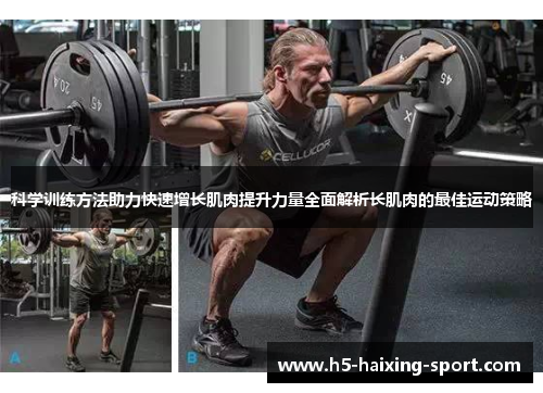 科学训练方法助力快速增长肌肉提升力量全面解析长肌肉的最佳运动策略